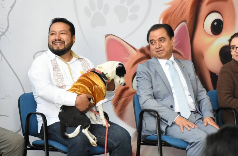 Congreso de Hidalgo impulsa campaña de esterilización para promover el bienestar animal