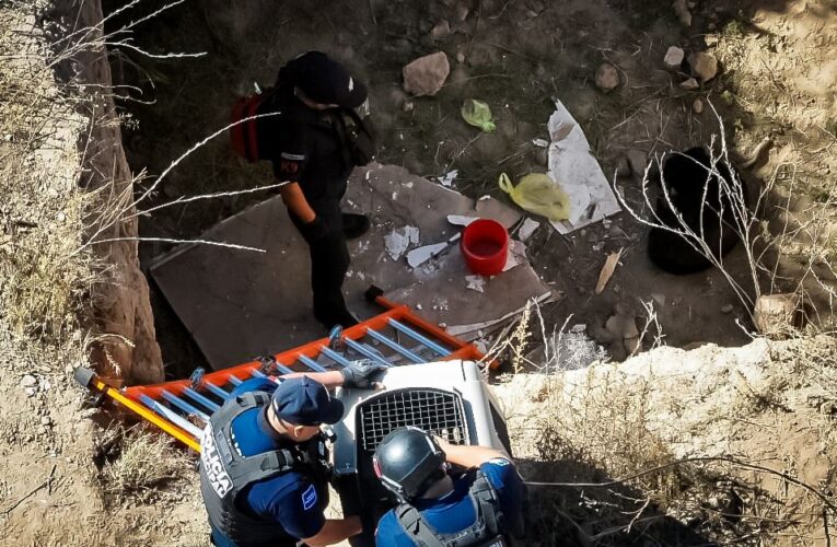 Con apoyo de drones, Seguridad Pública de Pachuca rescata a canino en La Loma 