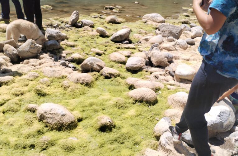 Hidalgo activa estrategia de acción coordinada para sanear el río Amajac