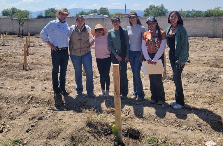 Desarrollan ITESHU y CBTA 179 proyectos para mejorar cultivos en el Valle del Mezquital