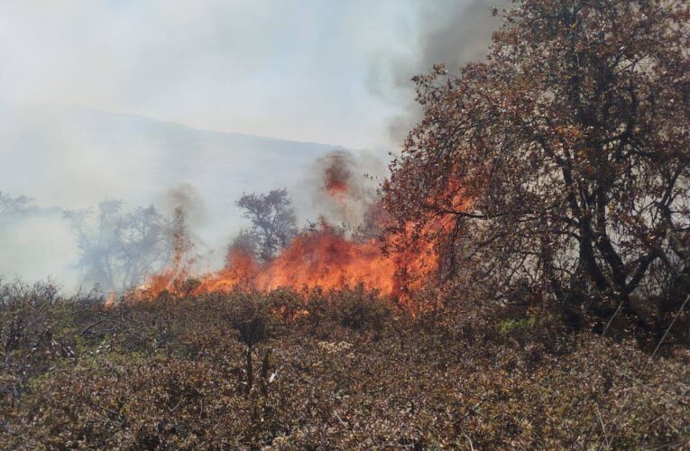 Más del 60 % de los incendios en la entidad son provocados por personas