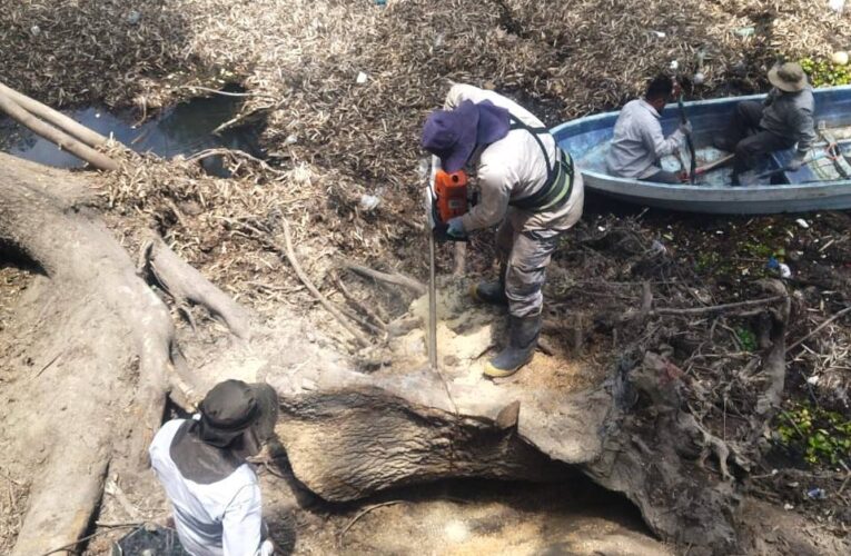 Conagua concluye operativo de limpieza y desazolve en el río Tula