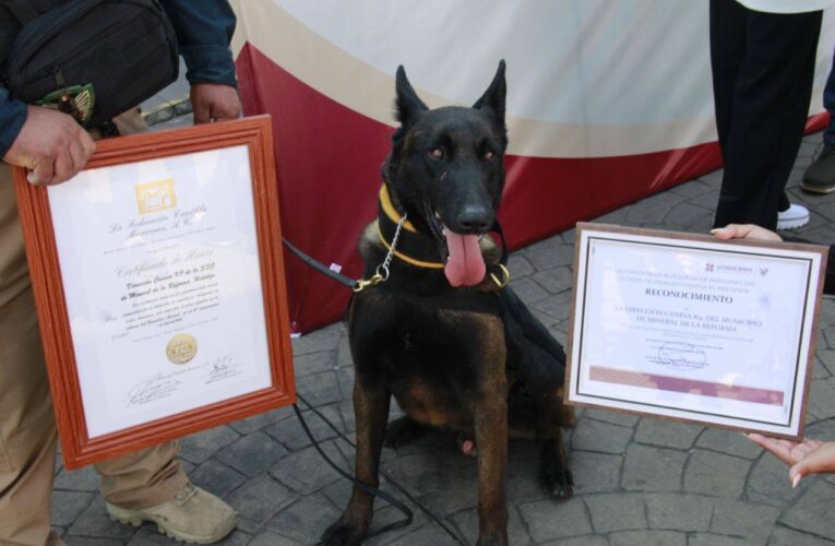 CELEBRA 4o ANIVERSARIO LA UNIDAD CANINA K9 DE MINERAL DE LA REFORMA