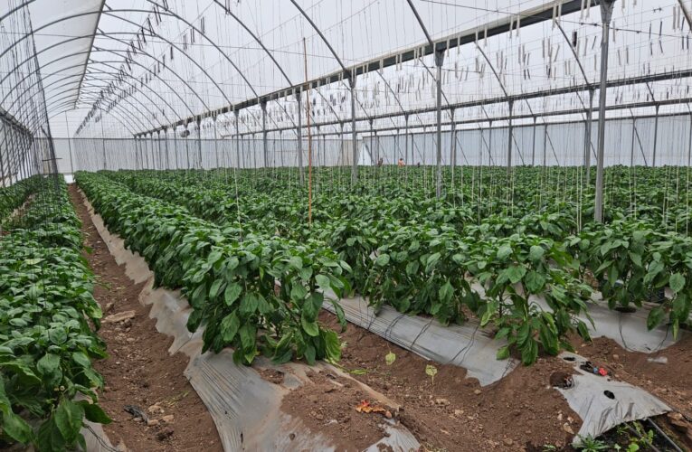 Gobierno de México llama a productores del campo para que regularicen sus concesiones de agua