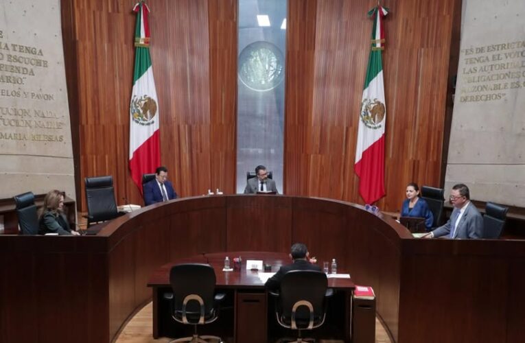 Valida TEPJF la inclusión de la autoadscripción de persona indígena y/o afromexicana en la credencial para votar