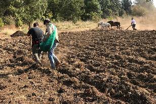 Productores de Tulancingo preparan tierras de temporal para el ciclo primavera-verano