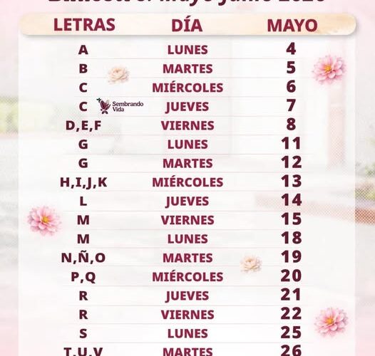 Del 4 al 27 de mayo se realiza pago de los Programas para el Bienestar