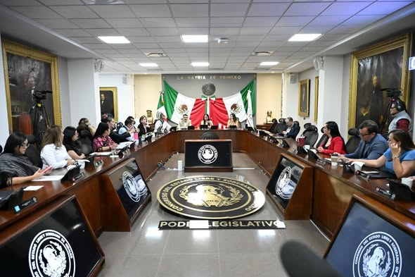 Se propone crear el Registro Estatal de Abuso y Negligencia Infantil en el Congreso