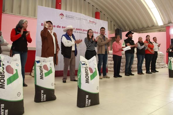 Reciben semillas certificadas de maíz y cebada productores de Mineral de la Reforma