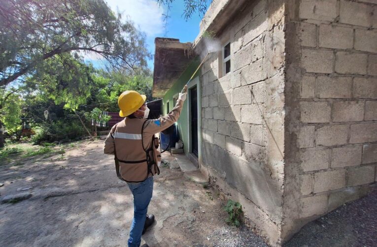 Fortalece Hidalgo acciones contra el dengue y reduce 88.5 % los casos