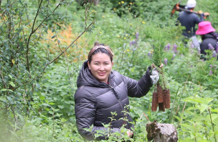 Semarnath conmemora el 44 aniversario del Parque Nacional El Chico con la plantación de 3 mil 500 árboles