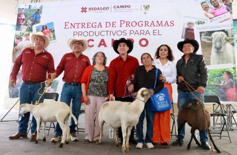 Impulsa Saderh la ganadería hidalguense con entrega de vientres ovinos en Actopan