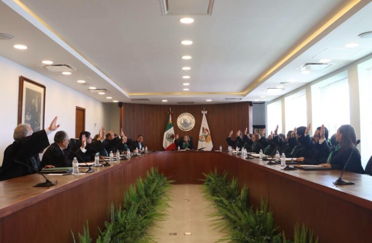 El Pleno determina una medida temporal para garantizar la continuidad de la Presidencia del TSJEH durante la transición constitucional